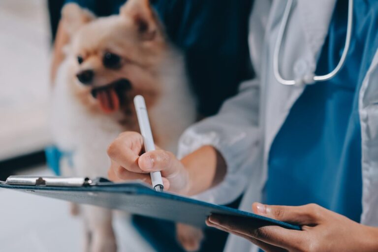 Endocrinología Veterinaria